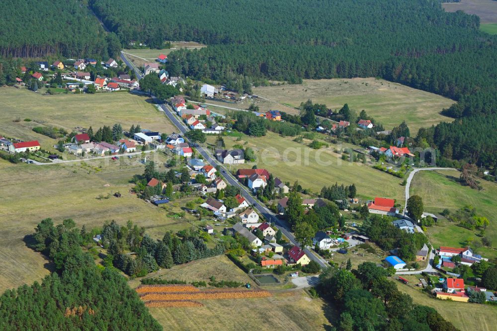 Pechhütte from the bird's eye view: Surrounded by forest and forest areas center of the streets and houses and residential areas in Pechhuette in the state Brandenburg, Germany