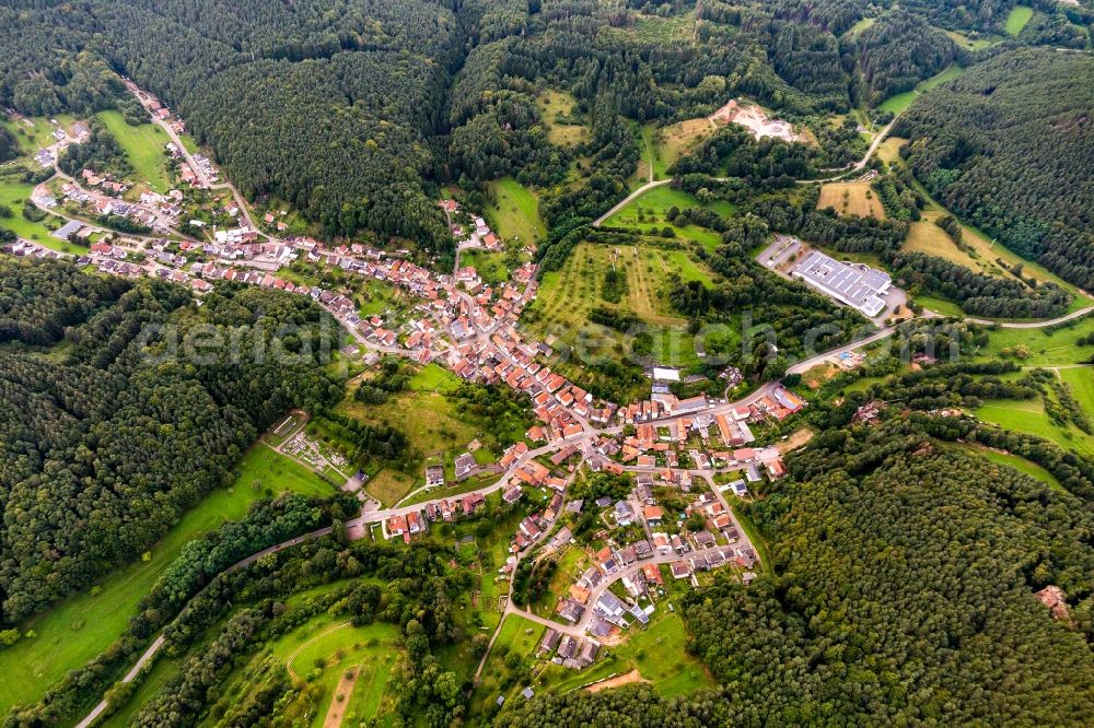 Aerial image Schwanheim - Surrounded by forest and forest areas center of the streets and houses and residential areas in Schwanheim in the state Rhineland-Palatinate, Germany