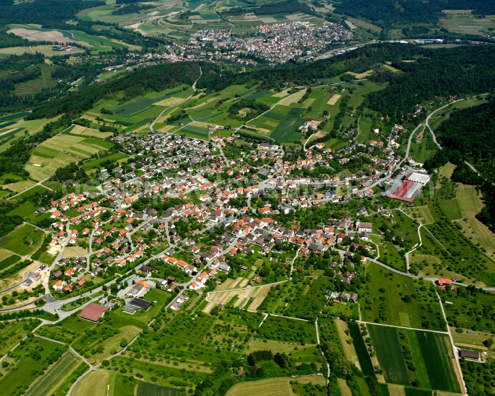 Aerial photograph Walddorf - Surrounded by forest and forest areas center of the streets and houses and residential areas in Walddorf in the state Baden-Wuerttemberg, Germany