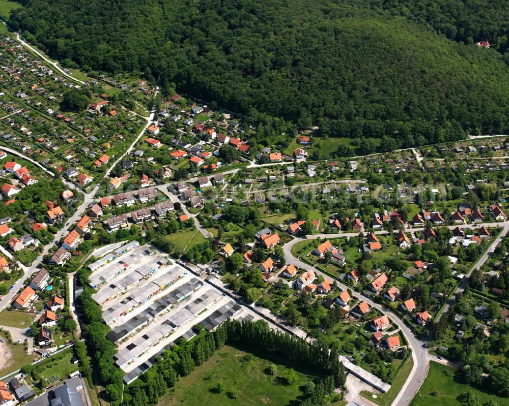 Wernigerode from the bird's eye view: Surrounded by forest and forest areas center of the streets and houses and residential areas in Wernigerode in the Harz in the state Saxony-Anhalt, Germany