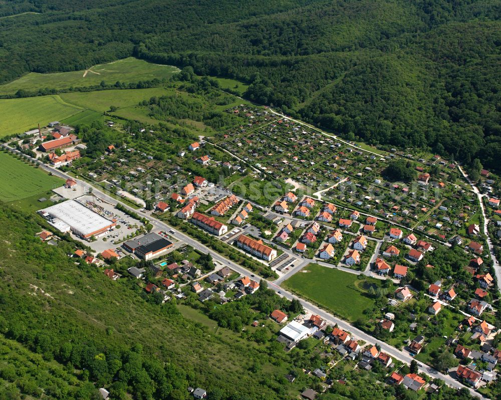 Aerial image Wernigerode - Surrounded by forest and forest areas center of the streets and houses and residential areas in Wernigerode in the Harz in the state Saxony-Anhalt, Germany