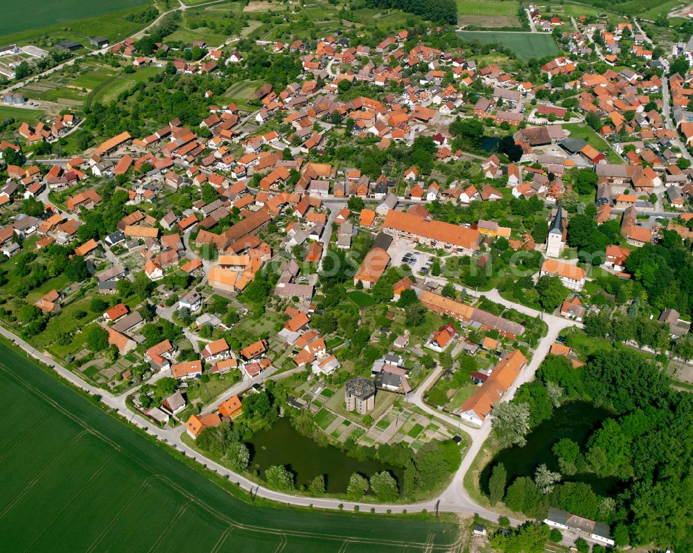 Aerial image Langeln - Urban area with outskirts and inner city area surrounded by woodland and forest areas in Langeln in the state Saxony-Anhalt, Germany