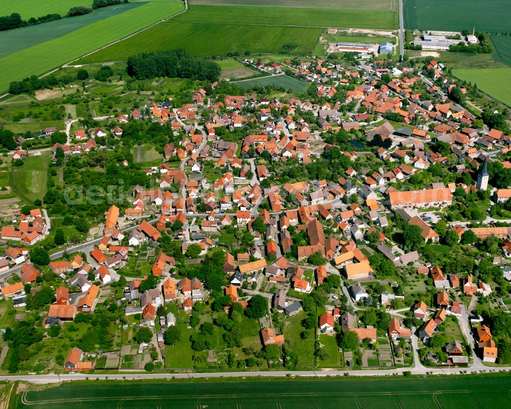 Aerial photograph Langeln - Urban area with outskirts and inner city area surrounded by woodland and forest areas in Langeln in the state Saxony-Anhalt, Germany