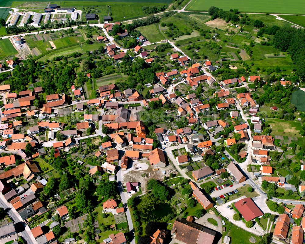 Langeln from above - Urban area with outskirts and inner city area surrounded by woodland and forest areas in Langeln in the state Saxony-Anhalt, Germany