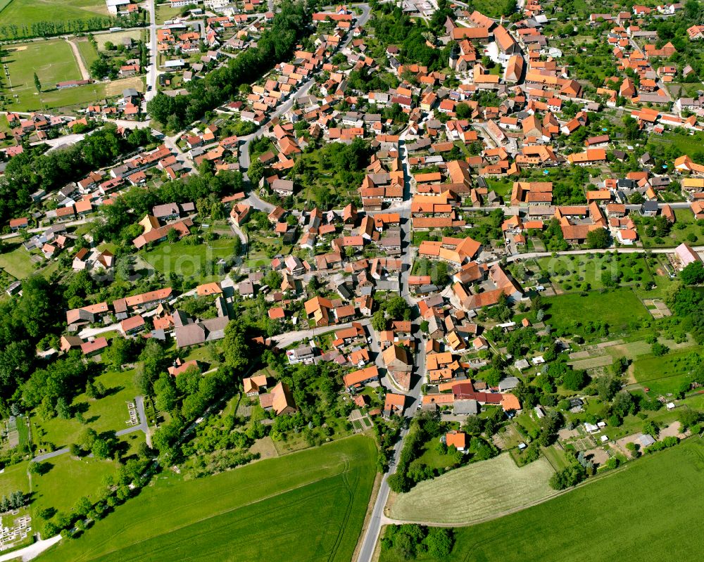 Wasserleben from the bird's eye view: Urban area with outskirts and inner city area surrounded by woodland and forest areas in Wasserleben in the state Saxony-Anhalt, Germany