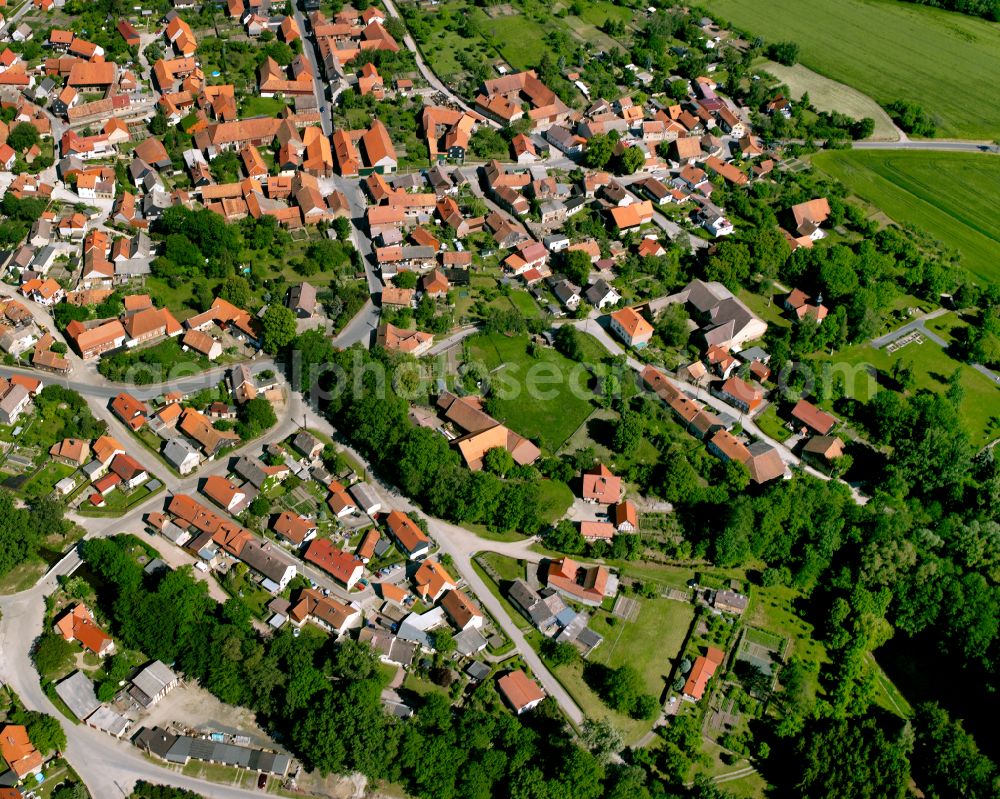 Aerial image Wasserleben - Urban area with outskirts and inner city area surrounded by woodland and forest areas in Wasserleben in the state Saxony-Anhalt, Germany