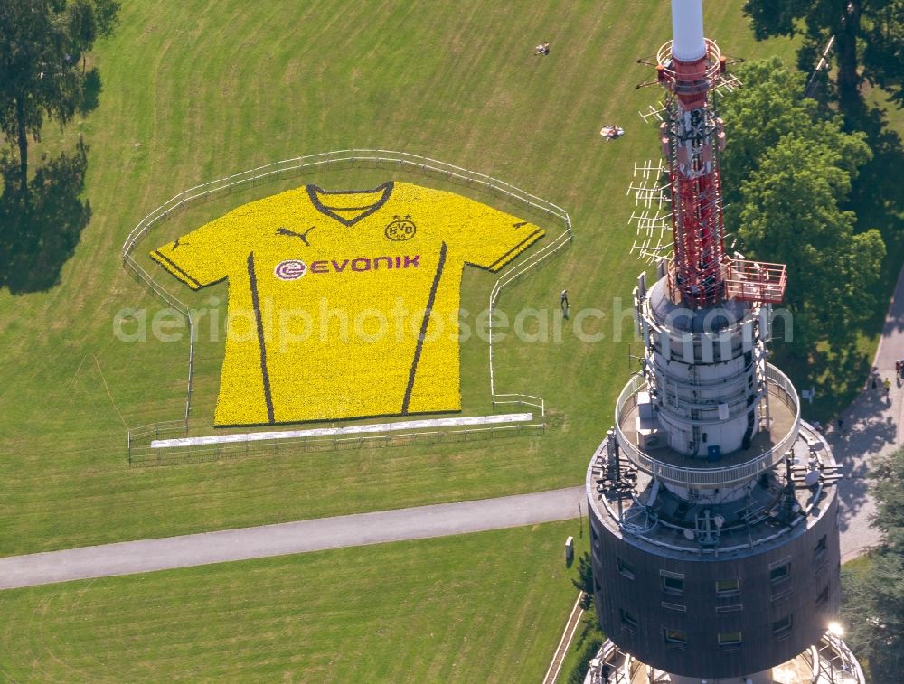 Dortmund from the bird's eye view: Presentation of the new jerseys in Westphalia park with views over the television tower Florian in Dortmund in North Rhine-Westphalia