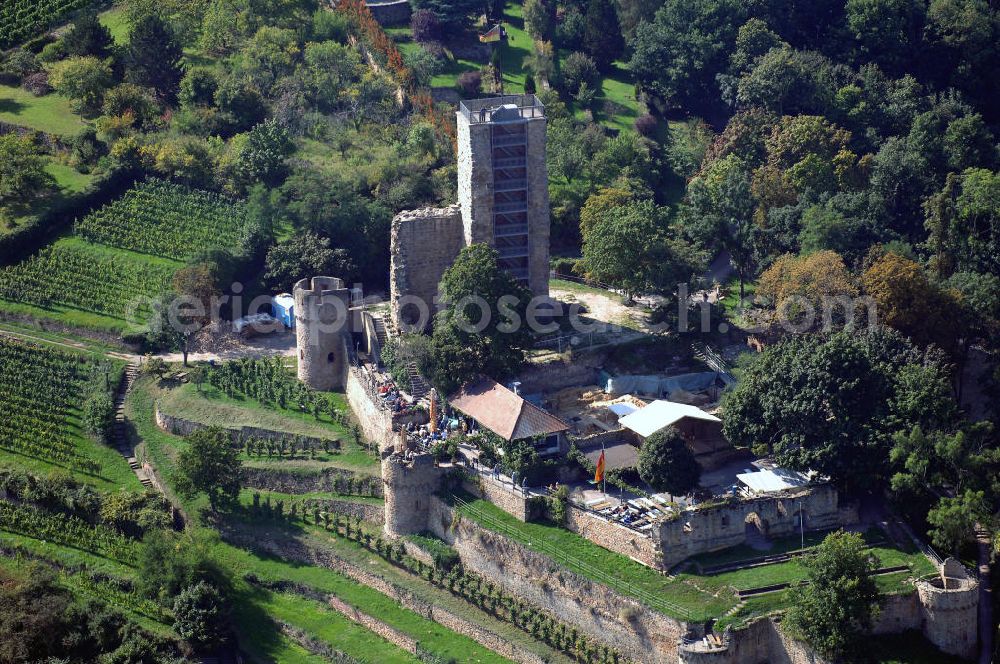 Aerial image Wachenheim - Blick auf die Wachtenburg in Wachenheim an der Weinstraße. Die Wachtenburg ist eine Burgruine oberhalb von Wachenheim an der Weinstraße im Landkreis Bad Dürkheim in Rheinland-Pfalz. Die Ruine liegt in auf einem Bergsporn, dem so genannten „Schloßberg“, an der mittleren Haardt. Sie gilt als das Wahrzeichen von Wachenheim. Bekannt ist Wachenheim vor allem durch verschiedene Unternehmen der Weinbaubranche. Kontakt: Förderkreis zur Erhaltung der Ruine Wachtenburg e. V., z.H. Dieter Weilacher, Postfach 11 01, 67153 Wachenheim,