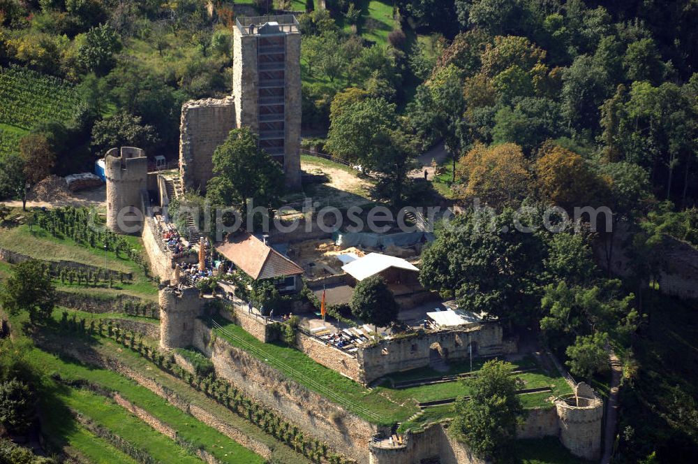 Aerial photograph Wachenheim - Blick auf die Wachtenburg in Wachenheim an der Weinstraße. Die Wachtenburg ist eine Burgruine oberhalb von Wachenheim an der Weinstraße im Landkreis Bad Dürkheim in Rheinland-Pfalz. Die Ruine liegt in auf einem Bergsporn, dem so genannten „Schloßberg“, an der mittleren Haardt. Sie gilt als das Wahrzeichen von Wachenheim. Bekannt ist Wachenheim vor allem durch verschiedene Unternehmen der Weinbaubranche. Kontakt: Förderkreis zur Erhaltung der Ruine Wachtenburg e. V., z.H. Dieter Weilacher, Postfach 11 01, 67153 Wachenheim,