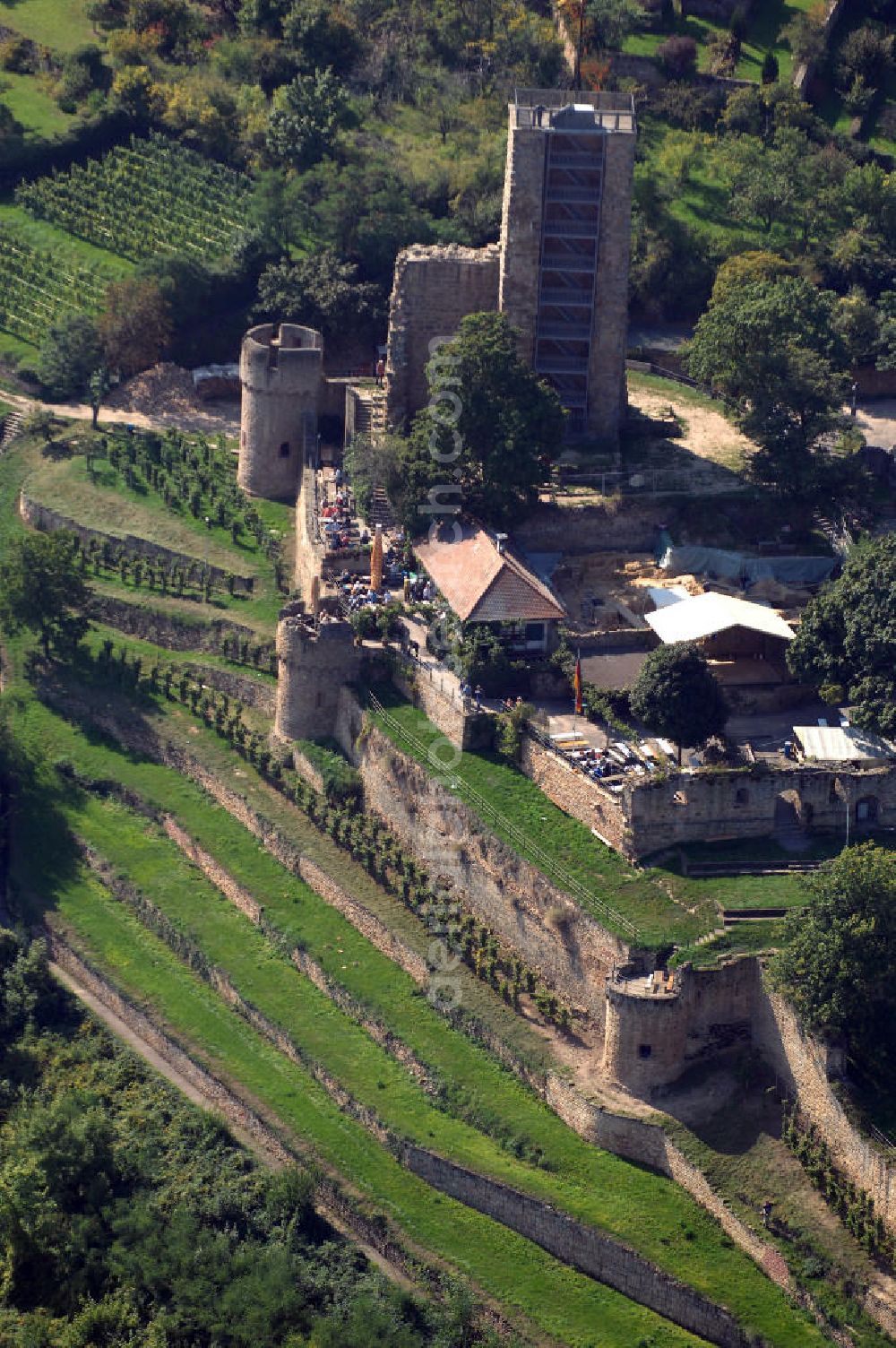 Wachenheim from above - Blick auf die Wachtenburg in Wachenheim an der Weinstraße. Die Wachtenburg ist eine Burgruine oberhalb von Wachenheim an der Weinstraße im Landkreis Bad Dürkheim in Rheinland-Pfalz. Die Ruine liegt in auf einem Bergsporn, dem so genannten „Schloßberg“, an der mittleren Haardt. Sie gilt als das Wahrzeichen von Wachenheim. Bekannt ist Wachenheim vor allem durch verschiedene Unternehmen der Weinbaubranche. Kontakt: Förderkreis zur Erhaltung der Ruine Wachtenburg e. V., z.H. Dieter Weilacher, Postfach 11 01, 67153 Wachenheim,