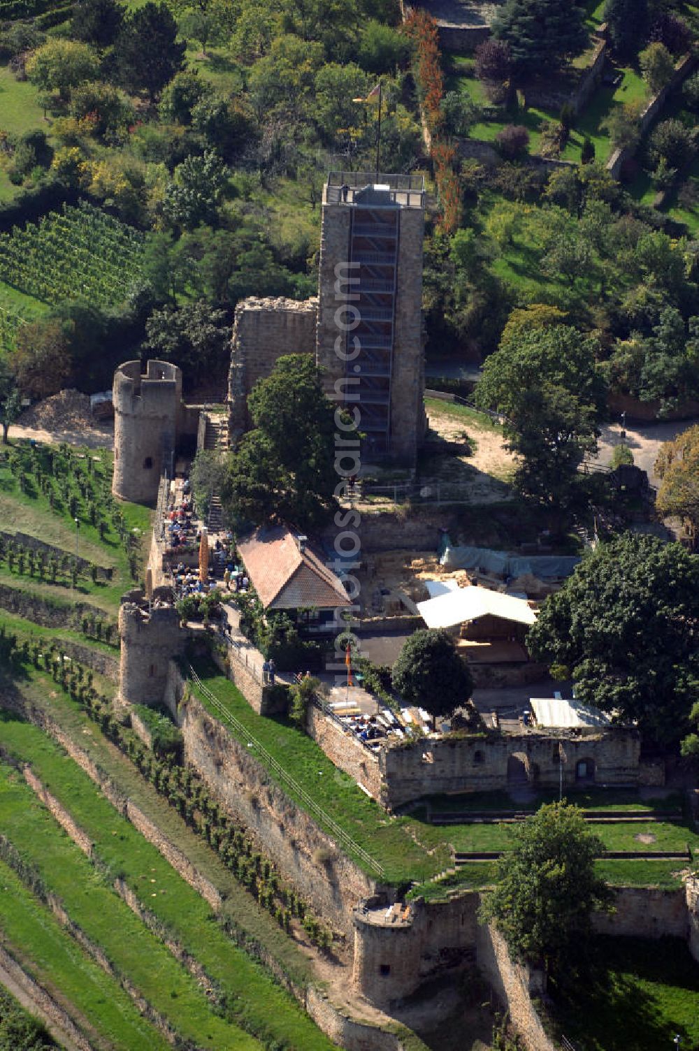 Wachenheim from the bird's eye view: Blick auf die Wachtenburg in Wachenheim an der Weinstraße. Die Wachtenburg ist eine Burgruine oberhalb von Wachenheim an der Weinstraße im Landkreis Bad Dürkheim in Rheinland-Pfalz. Die Ruine liegt in auf einem Bergsporn, dem so genannten „Schloßberg“, an der mittleren Haardt. Sie gilt als das Wahrzeichen von Wachenheim. Bekannt ist Wachenheim vor allem durch verschiedene Unternehmen der Weinbaubranche. Kontakt: Förderkreis zur Erhaltung der Ruine Wachtenburg e. V., z.H. Dieter Weilacher, Postfach 11 01, 67153 Wachenheim,