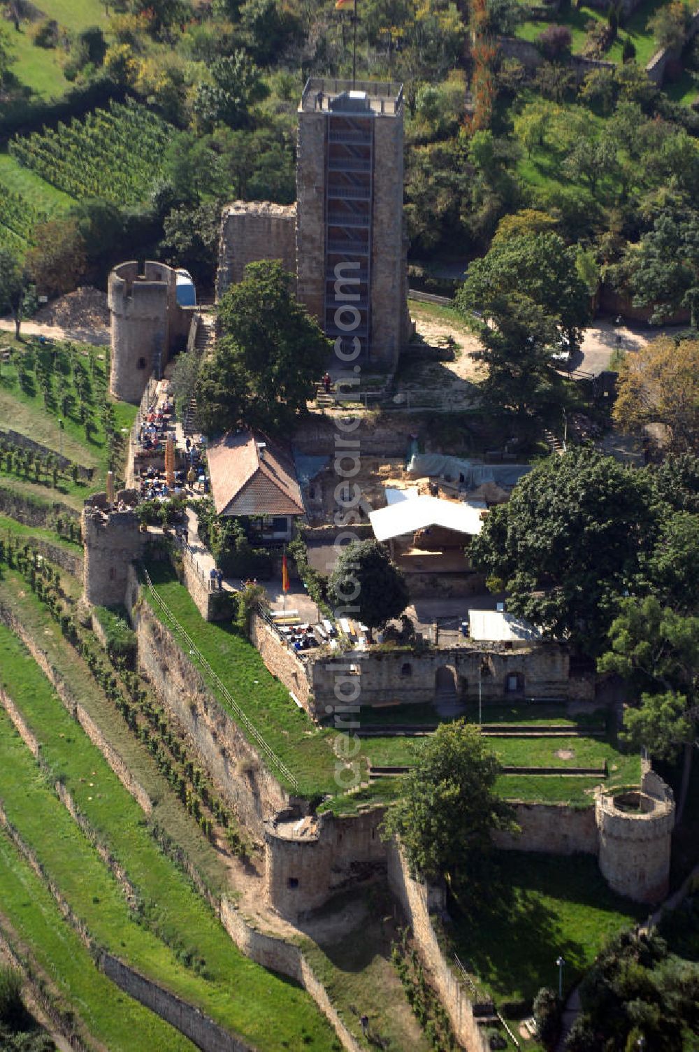 Aerial image Wachenheim - Blick auf die Wachtenburg in Wachenheim an der Weinstraße. Die Wachtenburg ist eine Burgruine oberhalb von Wachenheim an der Weinstraße im Landkreis Bad Dürkheim in Rheinland-Pfalz. Die Ruine liegt in auf einem Bergsporn, dem so genannten „Schloßberg“, an der mittleren Haardt. Sie gilt als das Wahrzeichen von Wachenheim. Bekannt ist Wachenheim vor allem durch verschiedene Unternehmen der Weinbaubranche. Kontakt: Förderkreis zur Erhaltung der Ruine Wachtenburg e. V., z.H. Dieter Weilacher, Postfach 11 01, 67153 Wachenheim,