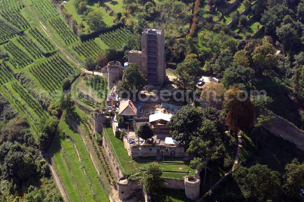 Aerial photograph Wachenheim - Blick auf die Wachtenburg in Wachenheim an der Weinstraße. Die Wachtenburg ist eine Burgruine oberhalb von Wachenheim an der Weinstraße im Landkreis Bad Dürkheim in Rheinland-Pfalz. Die Ruine liegt in auf einem Bergsporn, dem so genannten „Schloßberg“, an der mittleren Haardt. Sie gilt als das Wahrzeichen von Wachenheim. Bekannt ist Wachenheim vor allem durch verschiedene Unternehmen der Weinbaubranche. Kontakt: Förderkreis zur Erhaltung der Ruine Wachtenburg e. V., z.H. Dieter Weilacher, Postfach 11 01, 67153 Wachenheim,