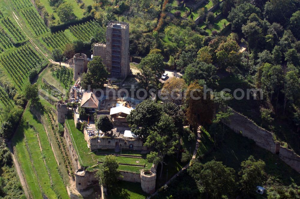 Wachenheim from above - Blick auf die Wachtenburg in Wachenheim an der Weinstraße. Die Wachtenburg ist eine Burgruine oberhalb von Wachenheim an der Weinstraße im Landkreis Bad Dürkheim in Rheinland-Pfalz. Die Ruine liegt in auf einem Bergsporn, dem so genannten „Schloßberg“, an der mittleren Haardt. Sie gilt als das Wahrzeichen von Wachenheim. Bekannt ist Wachenheim vor allem durch verschiedene Unternehmen der Weinbaubranche. Kontakt: Förderkreis zur Erhaltung der Ruine Wachtenburg e. V., z.H. Dieter Weilacher, Postfach 11 01, 67153 Wachenheim,