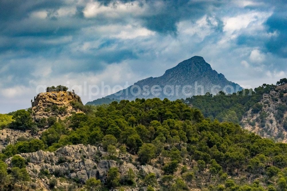 Aerial image Calvia - Forest and mountain scenery overlooking the rocky top of the Puig de GalatzA? in Calvia in Balearic islands, Spain