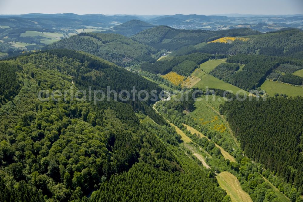 Aerial photograph Schmallenberg - Forest and mountain scenery im Hochsauerland in Schmallenberg in the state North Rhine-Westphalia