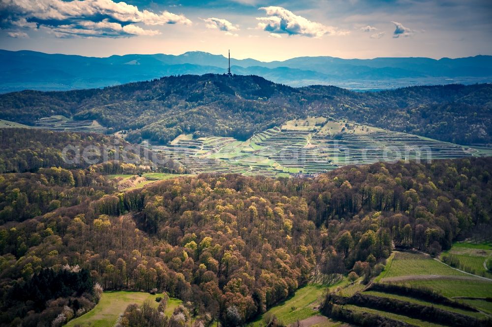 Vogtsburg im Kaiserstuhl from above - Forest and mountain scenery Kaiserstuhl in Vogtsburg im Kaiserstuhl in the state Baden-Wuerttemberg, Germany