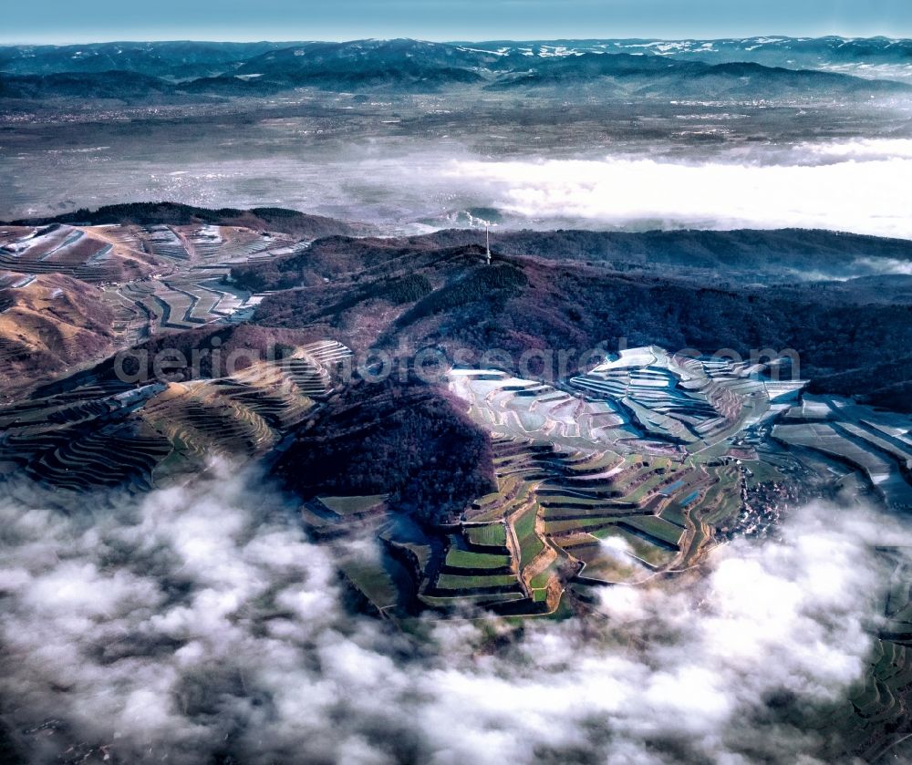 Vogtsburg im Kaiserstuhl from the bird's eye view: Forest and mountain landscape at Kaiserstuhl in Vogtsburg im Kaiserstuhl in the federal state of Baden-Wuerttemberg, Germany