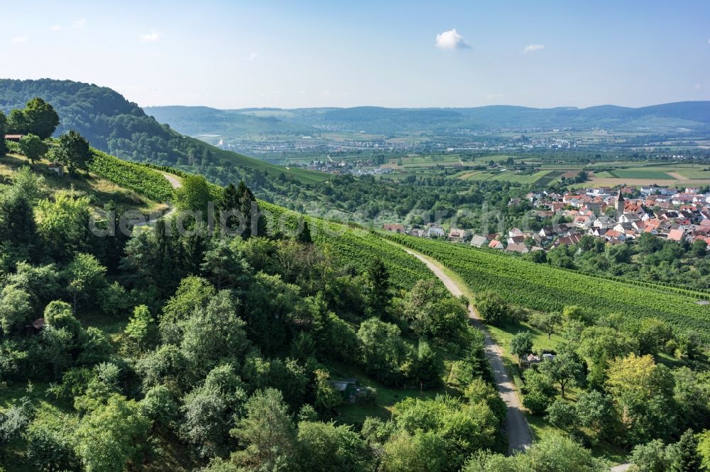 Korb from above - Forest and mountain scenery Kleinheppacher Kopf in Korb in the state Baden-Wuerttemberg