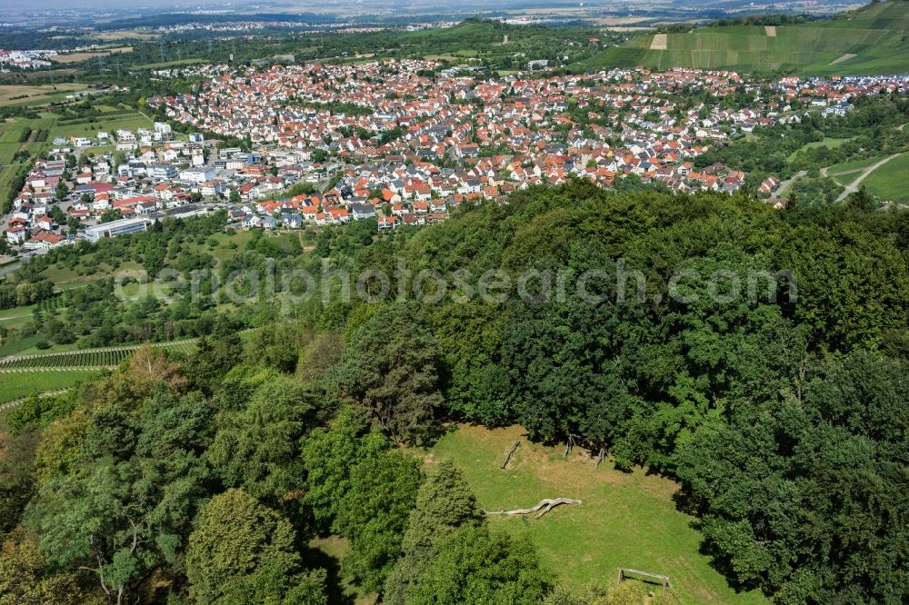 Korb from the bird's eye view: Forest and mountain scenery Kleinheppacher Kopf in Korb in the state Baden-Wuerttemberg