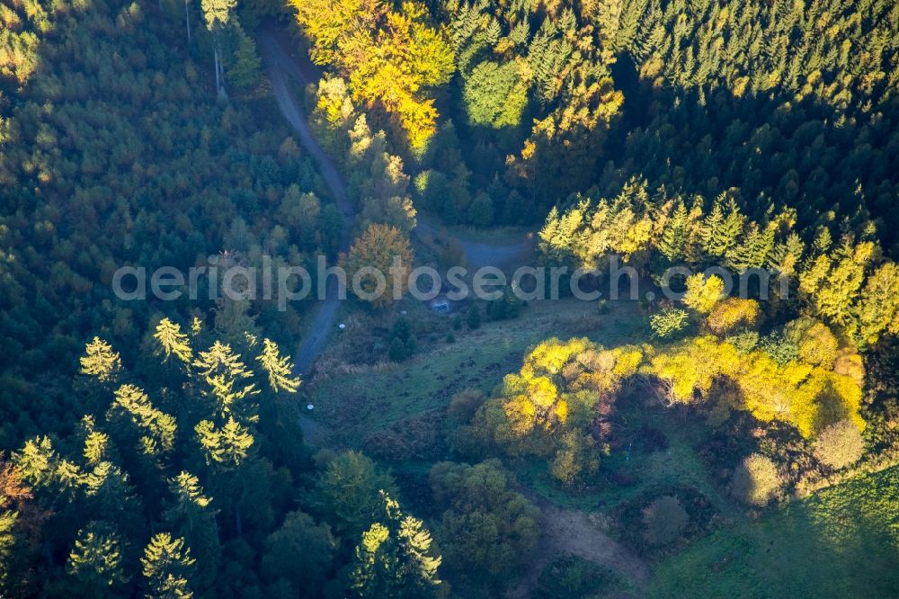 Aerial photograph Arnsberg - Forest and mountain scenery of the Lattenberg in Arnsberg in the state North Rhine-Westphalia