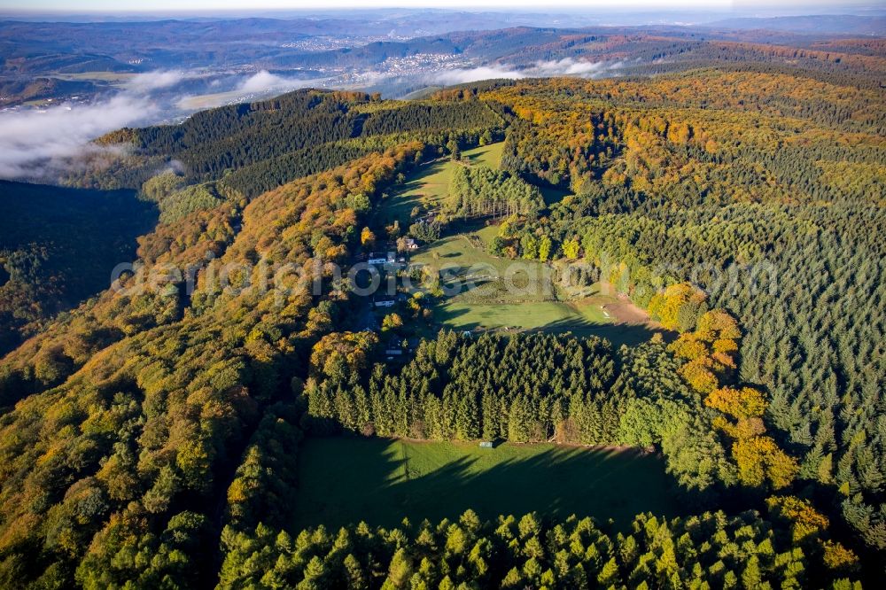 Arnsberg from the bird's eye view: Forest and mountain scenery of the Lattenberg in Arnsberg in the state North Rhine-Westphalia