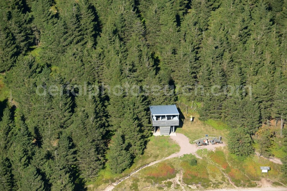 Gehlberg from the bird's eye view: Forest and mountain scenery on Plaenckners Aussicht Grosser Beerberg in Gehlberg in the state Thuringia