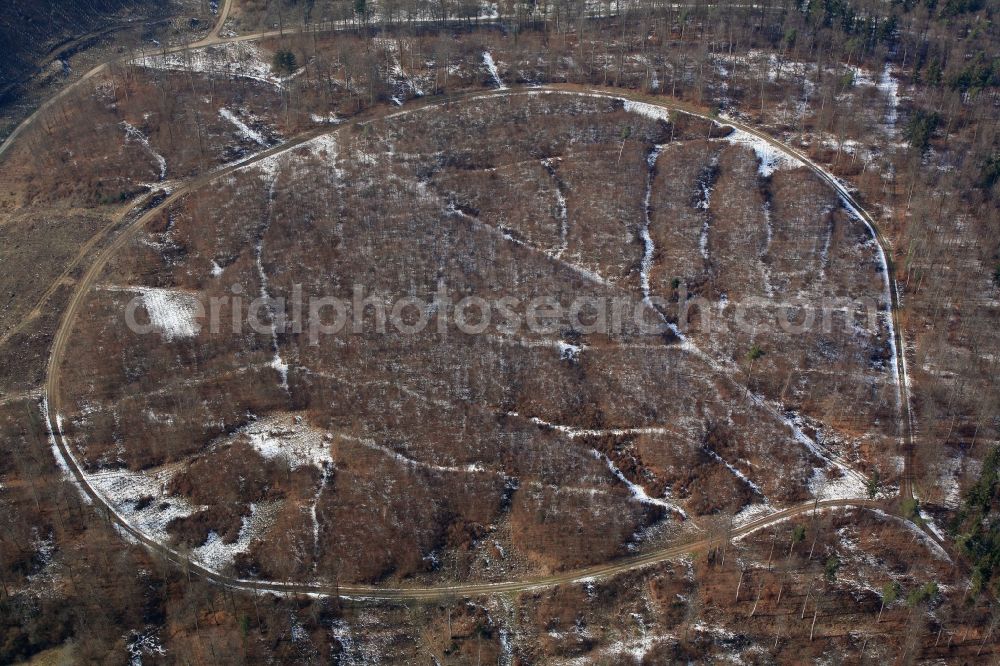 Rheinfelden (Baden) from the bird's eye view: Forest and mountain scenery with a road Loop around the Loewen in Rheinfelden (Baden) in the state Baden-Wuerttemberg