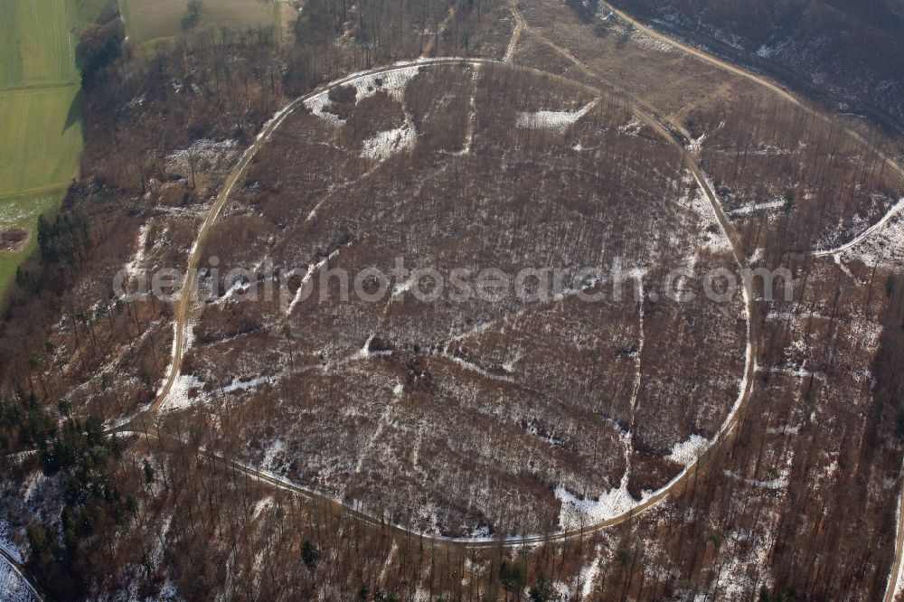 Rheinfelden (Baden) from above - Forest and mountain scenery with a road Loop around the Loewen in Rheinfelden (Baden) in the state Baden-Wuerttemberg