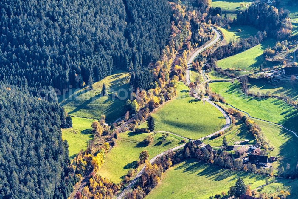 Alpirsbach from the bird's eye view: Forest and mountain scenery and Tal of oberen Kinzig in Alpirsbach in the state Baden-Wuerttemberg, Germany