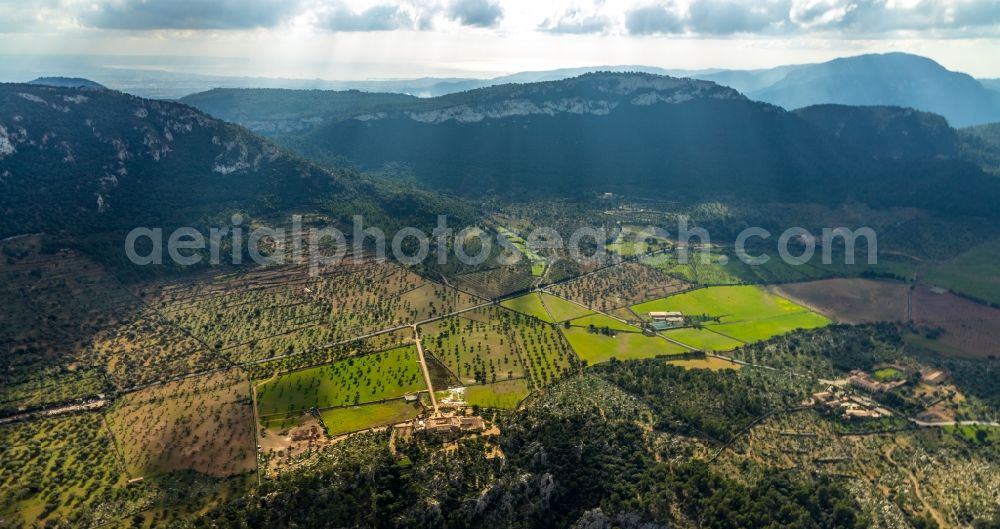 Aerial image Valldemossa - Forest and mountain scenery in Valldemossa in Balearic island of Mallorca, Spain