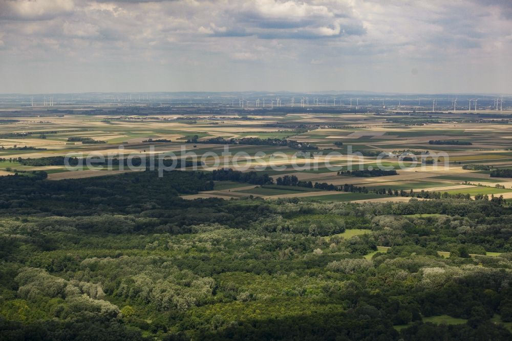 Aerial image Haslau an der Donau - Forest and fields of the landscape of the national park Donau-Auen in Haslau an der Donau in Lower Austria, Austria