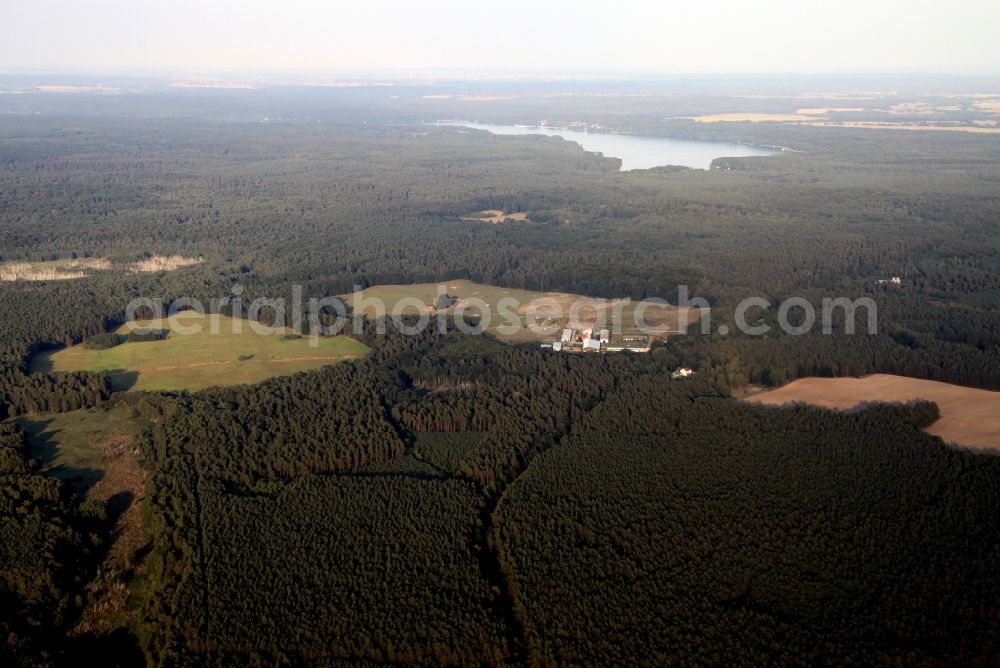 Aerial image Sarnow - Forest and nature reserve Schorfheide in Brandenburg