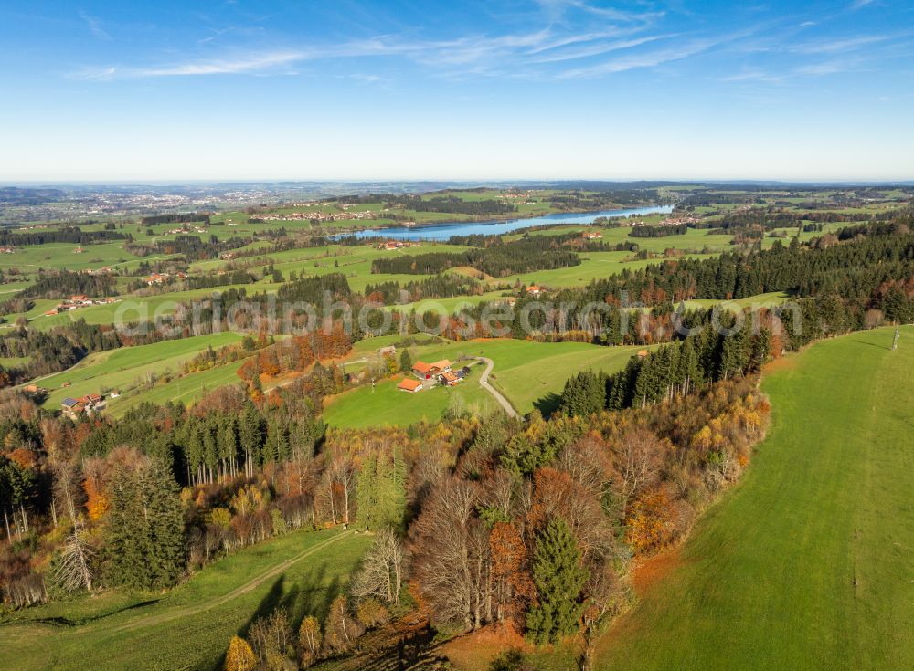 Aerial image Oy-Mittelberg - Meadows and grass areas surround forest areas in the forest areas in Oy-Mittelberg Allgaeu in the state Bavaria, Germany