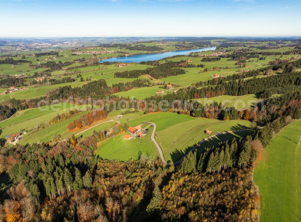 Aerial photograph Oy-Mittelberg - Meadows and grass areas surround forest areas in the forest areas in Oy-Mittelberg Allgaeu in the state Bavaria, Germany