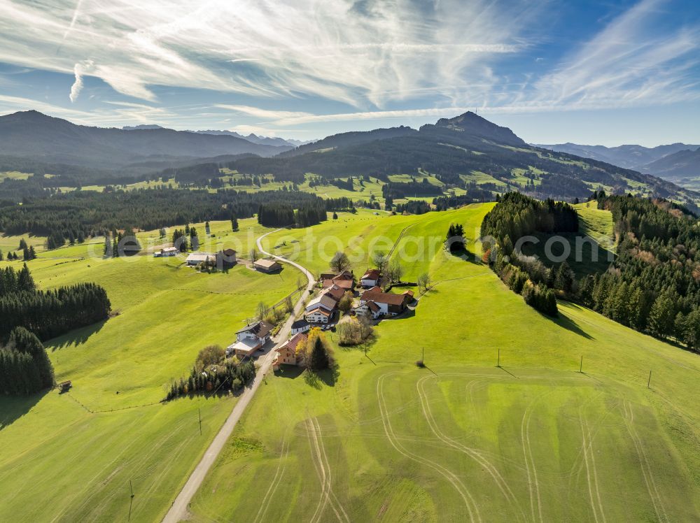 Oberellegg from the bird's eye view: Meadows and grass areas surround forest areas in the forest areasand pastureland in Oberellegg Allgaeu in the state Bavaria, Germany