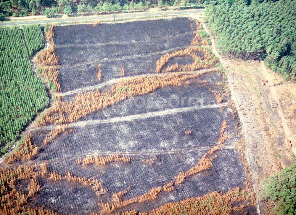 Aerial photograph Lübben / Brandenburg - Waldbrandfläche südöstlich von Lübben in Brandenburg.