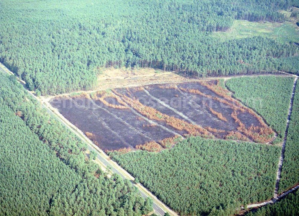 Aerial image Lübben / Brandenburg - Waldbrandfläche südöstlich von Lübben in Brandenburg.