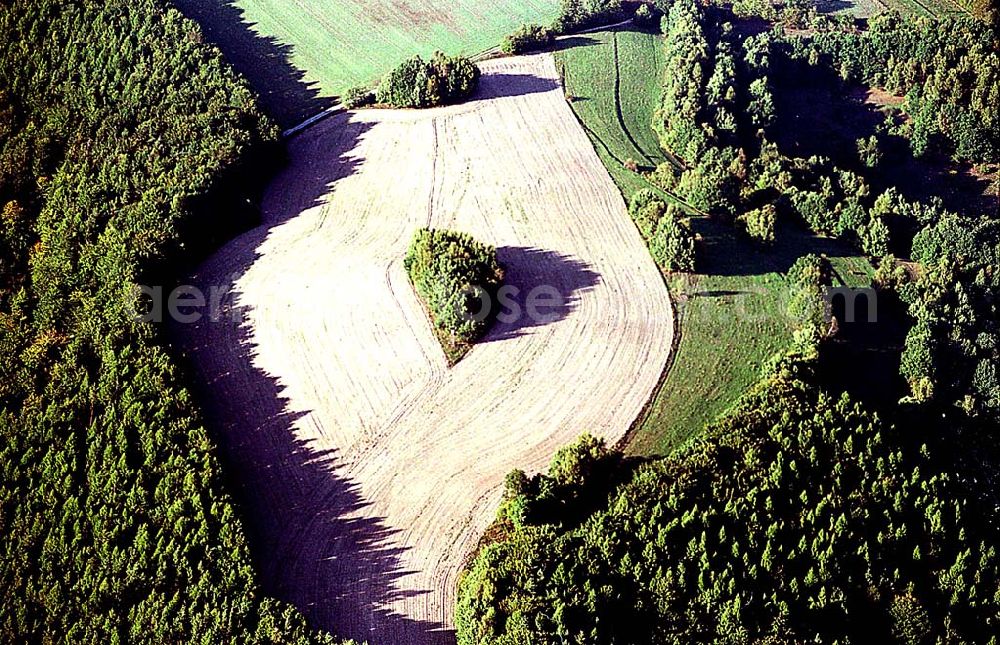 Aerial photograph Thüringen / Waldfeld südlich von Bad Salzungen - 20.09.2003 Waldfeld südlich von Bad Salzungen/ Thüringen