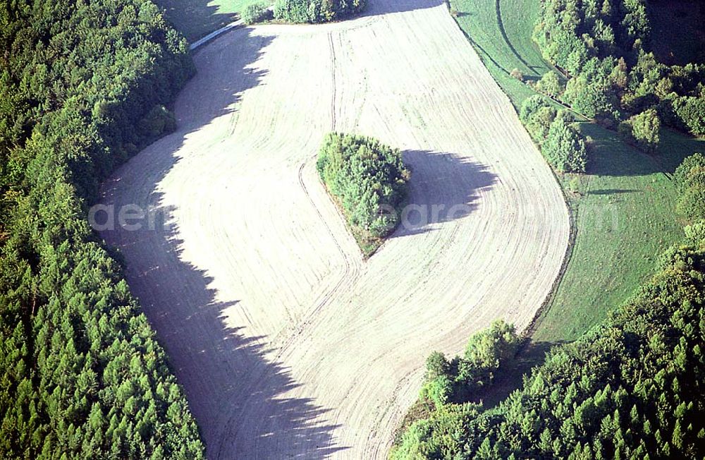 Aerial image Thüringen / Waldfeld südlich von Bad Salzungen - 20.09.2003 Waldfeld südlich von Bad Salzungen/ Thüringen