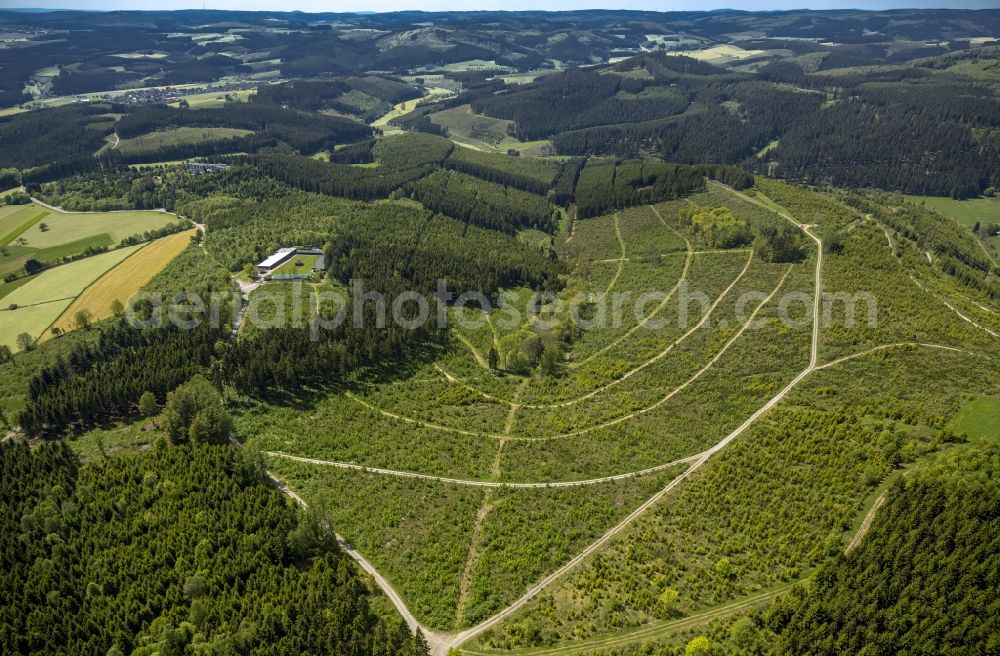 Aerial image Bad Berleburg - View of forest area near Bad Berleburg in the state North Rhine-Westphalia