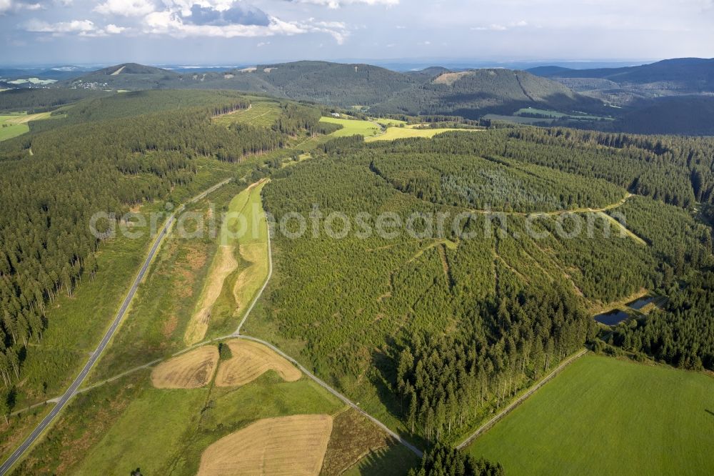 Aerial image Winterberg - A forestland on the road 740 (L740) in the vicinity of Winterberg in the state North Rhine-Westphalia. In this forest area is the spring of the Ruhr