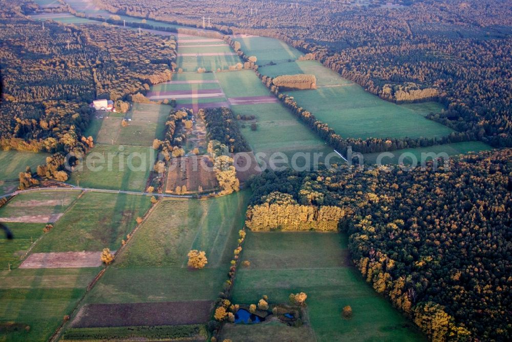 Kandel from above - Forest area Bienwald, Otterbachtal in Kandel in the state Rhineland-Palatinate, Germany