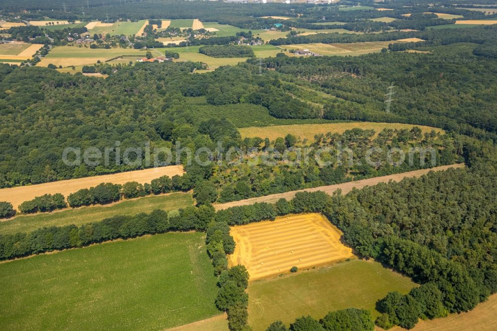 Voerde (Niederrhein) from above - Wooded area in Voerde (Niederrhein) in the state North Rhine-Westphalia, Germany