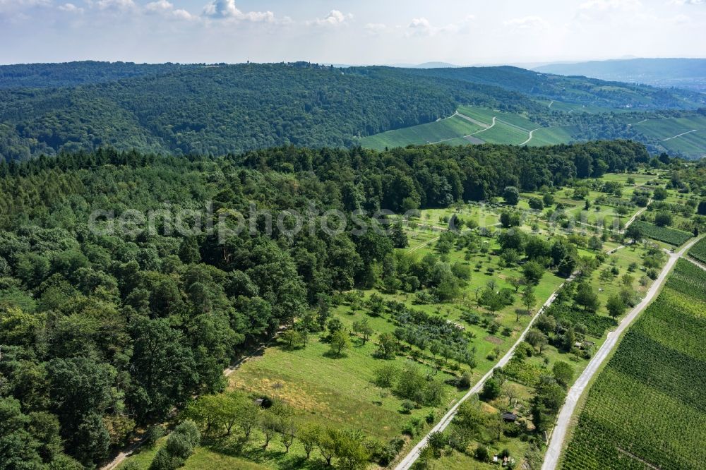 Weinstadt from above - Forest area in wine city in the state of Baden-Wuerttemberg