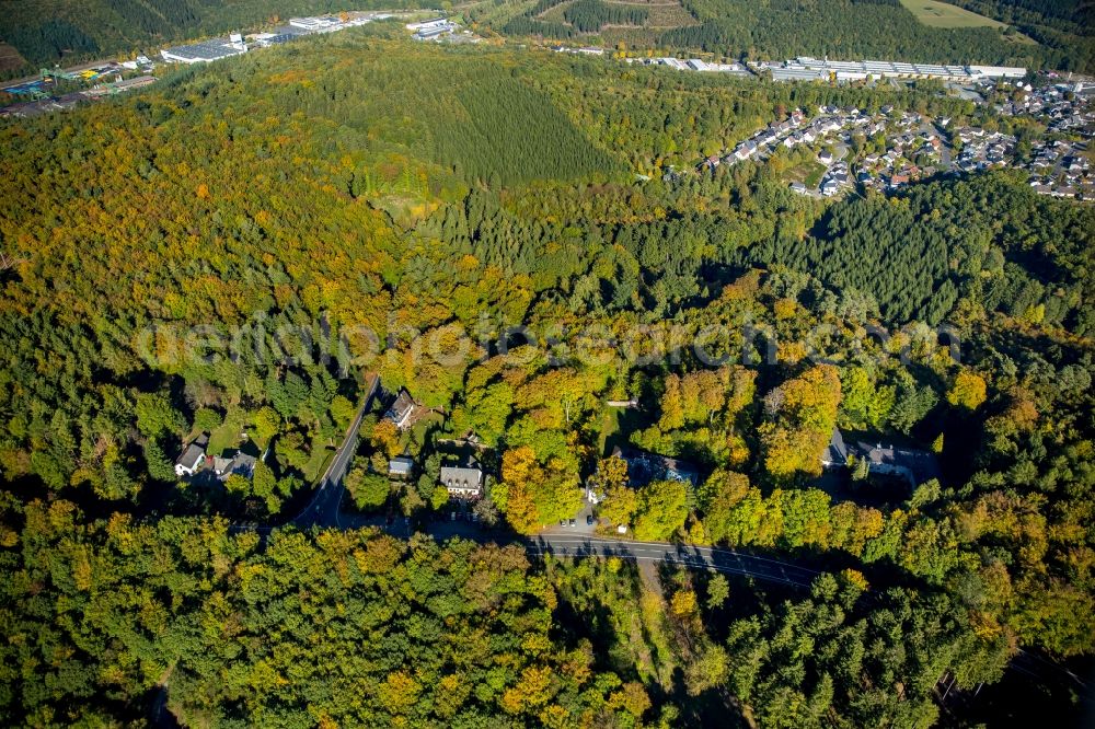 Aerial photograph Wilnsdorf - Forest in Wilnsdorf in the state North Rhine-Westphalia