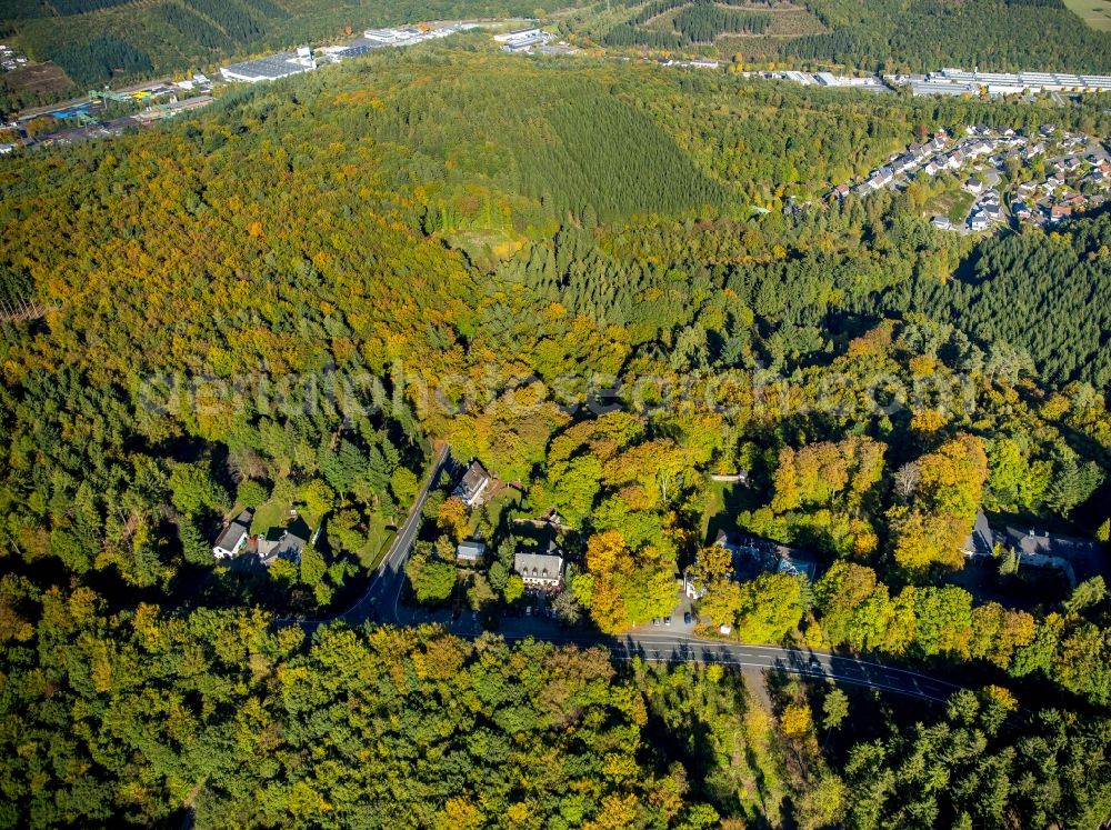 Wilnsdorf from above - Forest in Wilnsdorf in the state North Rhine-Westphalia