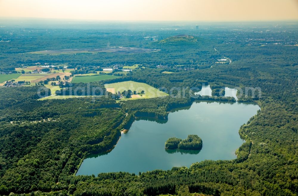 Kirchhellen from the bird's eye view: Forests on the shores of Lake Heidesee in Kirchhellen in the state of North Rhine-Westphalia