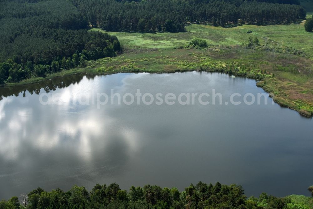 Aerial image Paulshorst - Forests on the shores of Koelpin lake in Paulshorst in the state Brandenburg