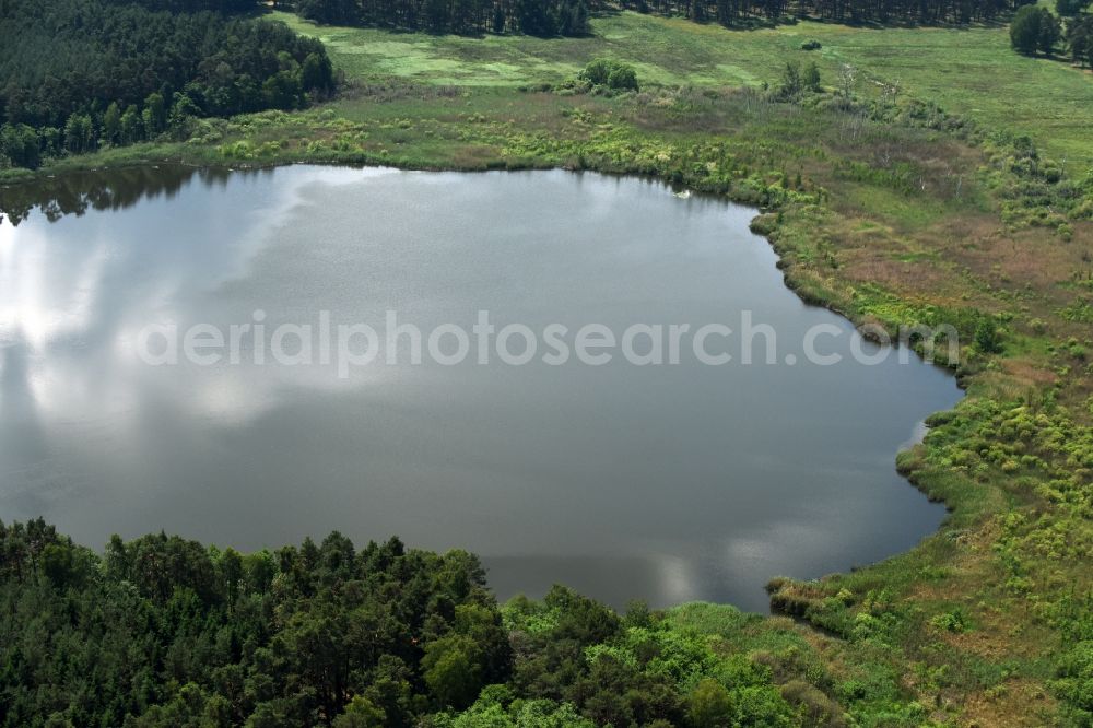 Aerial photograph Paulshorst - Forests on the shores of Koelpin lake in Paulshorst in the state Brandenburg